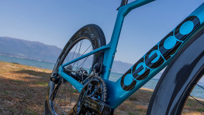 2024 Ceepo Viper Frameset Kit